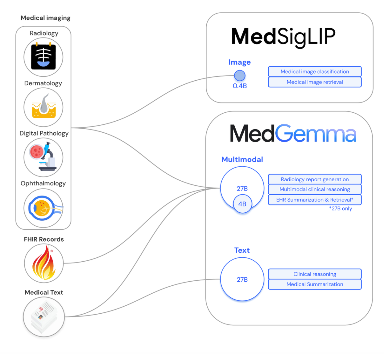 Diagram showing MedGemma’s multimodal architecture, where medical images are processed by a SigLIP vision encoder and combined with a language model to understand medical text and images and generate responses.