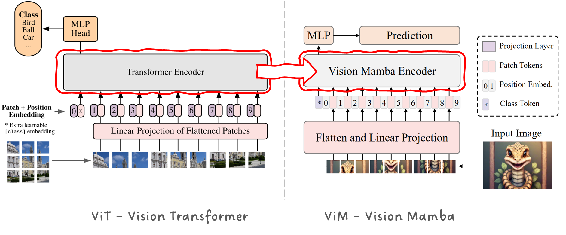 Image 7: Comparing the ViT-Vision Transformer and the ViM-Vision Mamba models. Images taken from A. Dosovitskiy et. al. and L. Zhu et. al., annotated by Sascha Kirch.