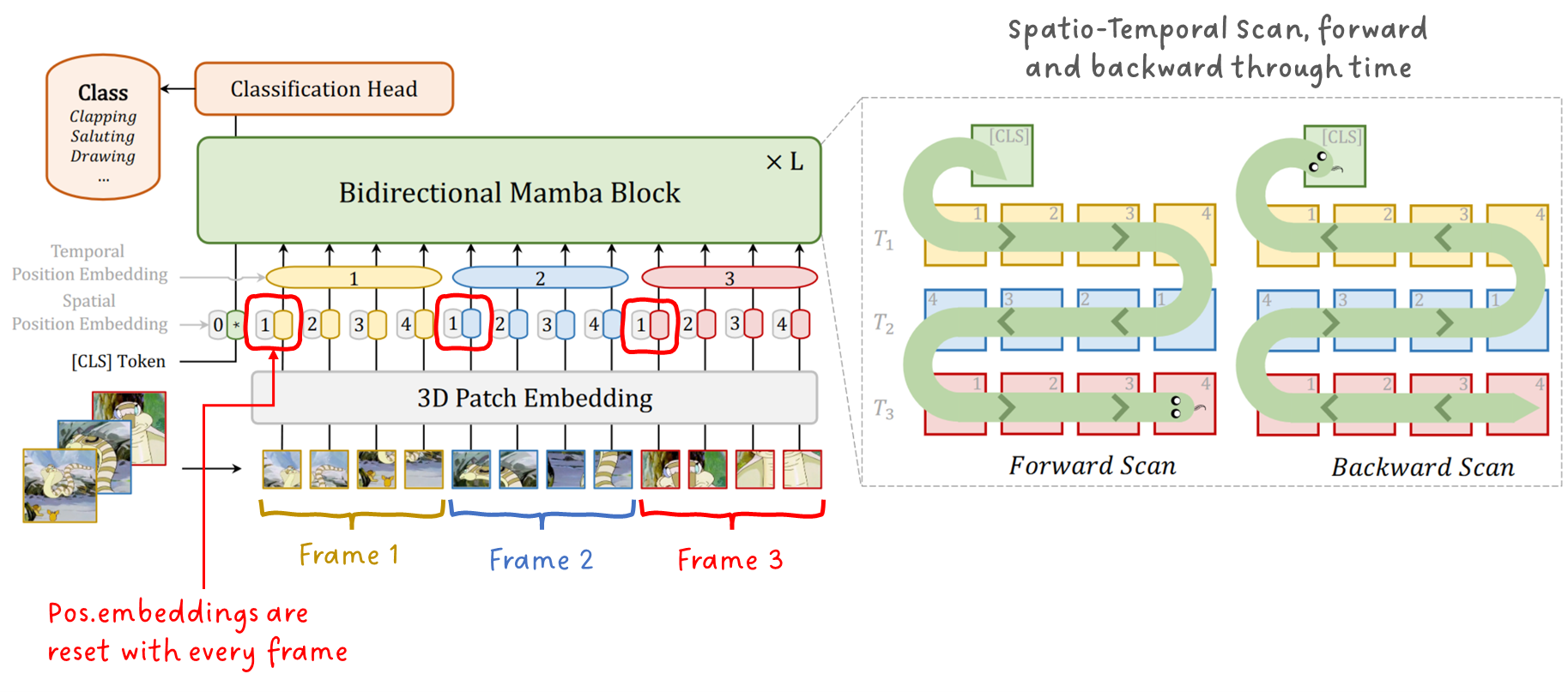 Image 9: Architecture of VideoMamba. Image by K. Li et al., annotated by Sascha Kirch.
