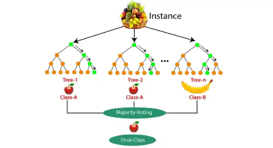 Random Forest Algorithm in Machine Learning