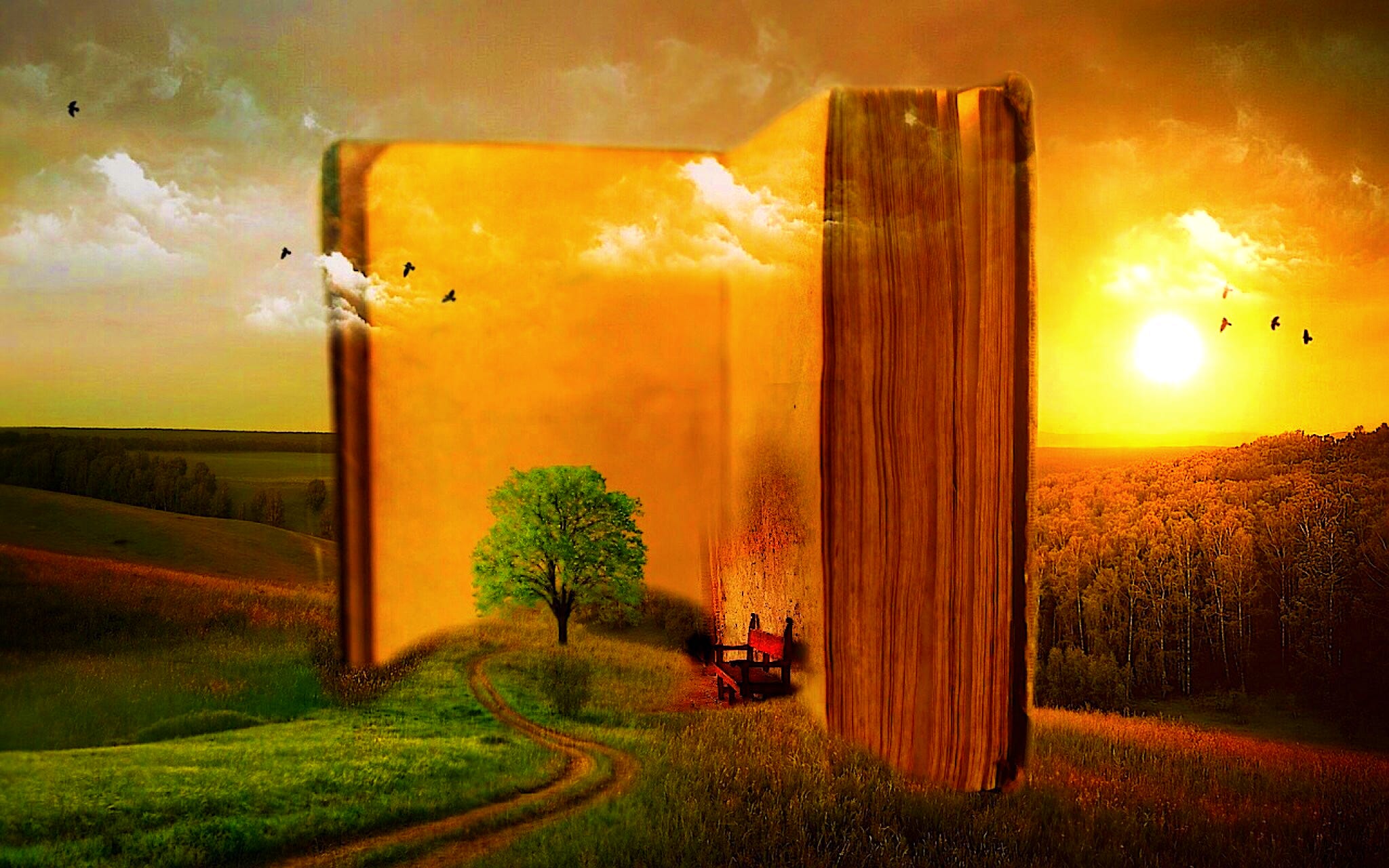 Source: pixabay.com