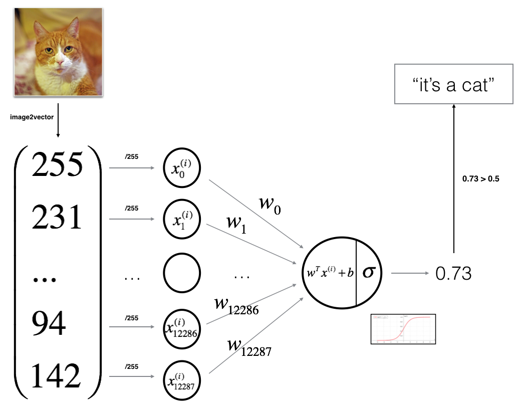 Using a Logistic regression along with Neural Networks for Cat vs Non-Cat  Image Classification | by Aditi Mukerjee | Medium